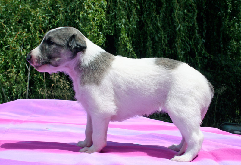 Surf Spots - Girl 2 Almost Stand